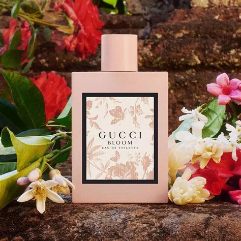 what is the smell of gucci bloom|gucci bloom women pics.